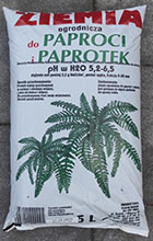 ziemia-ogrodnicza-do-paproci-i-paprotek